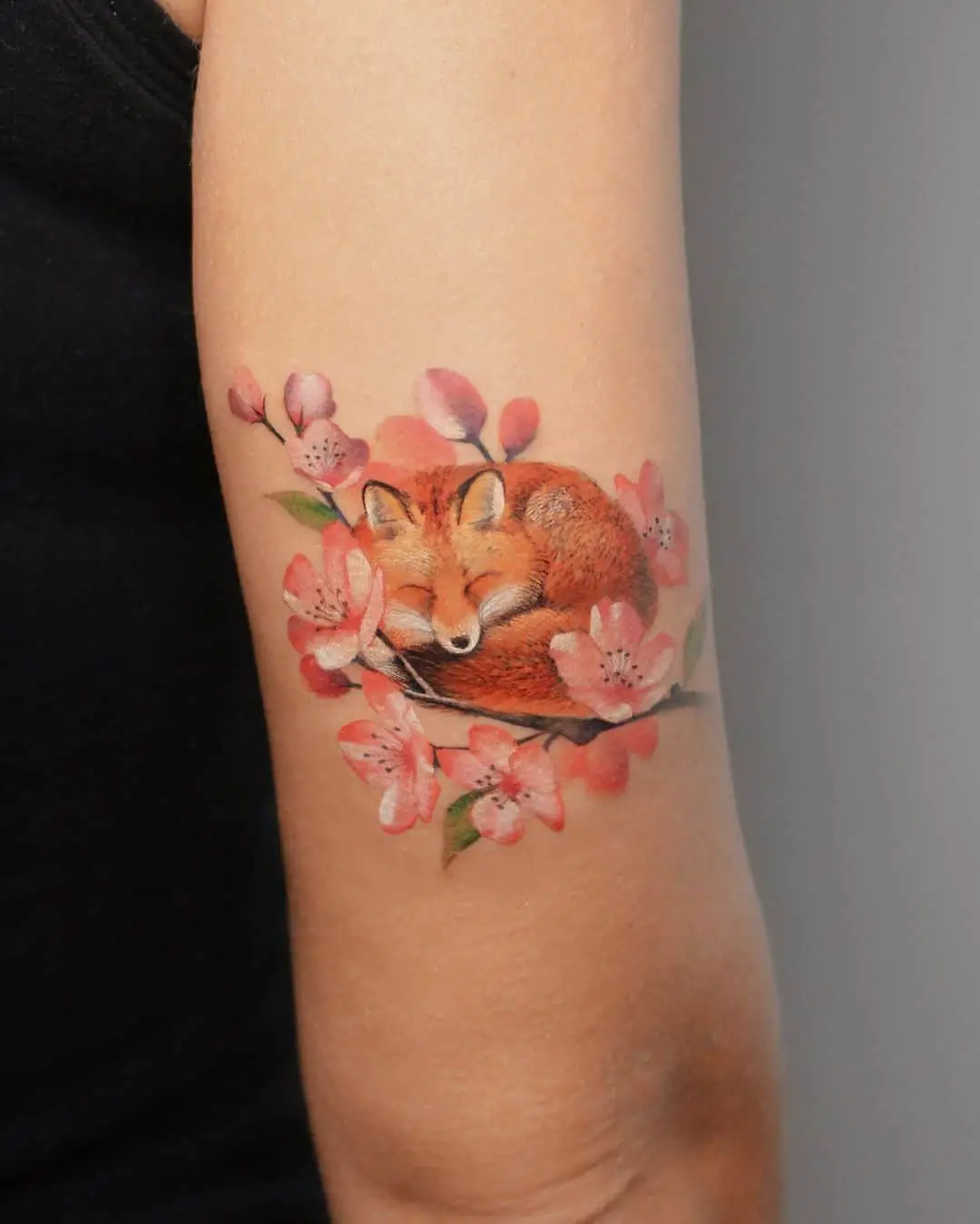 Beautiful sleeping fox tattoo on arm by debrartist