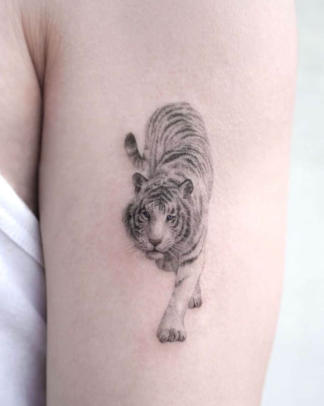 Beautiful white tiger tattoo by tattooist kimria