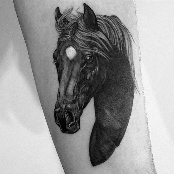 Black horse tattoo 2