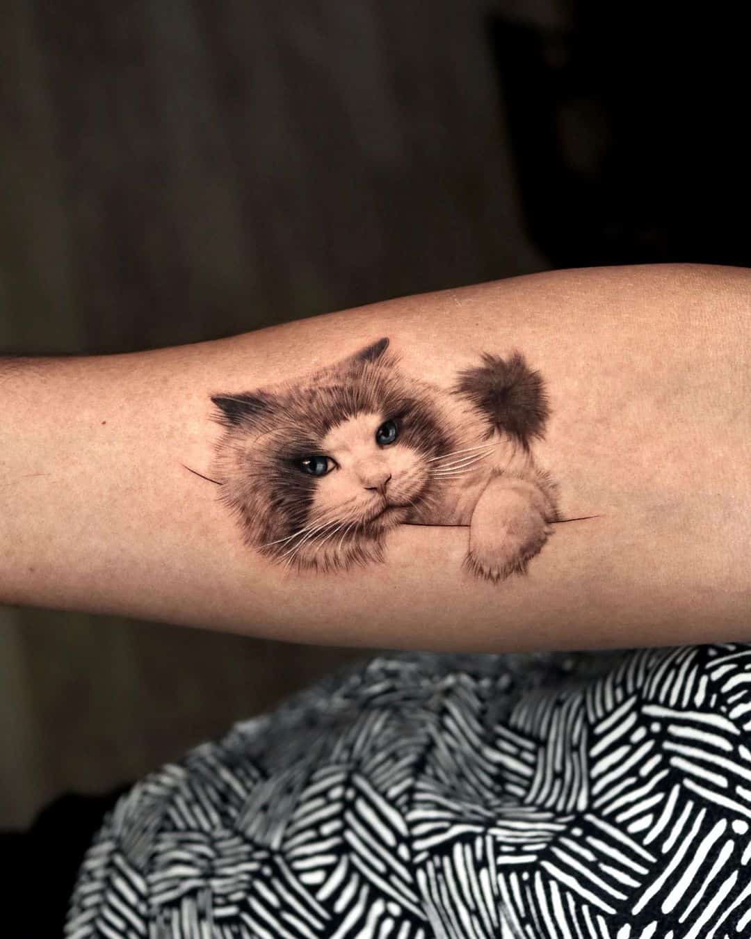 Cat tattoo by tattooist yeono