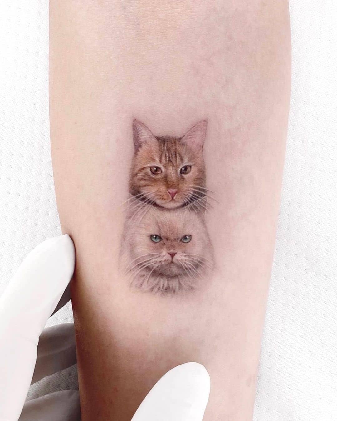 Cat tattoo design on arm by mustafaalakoc