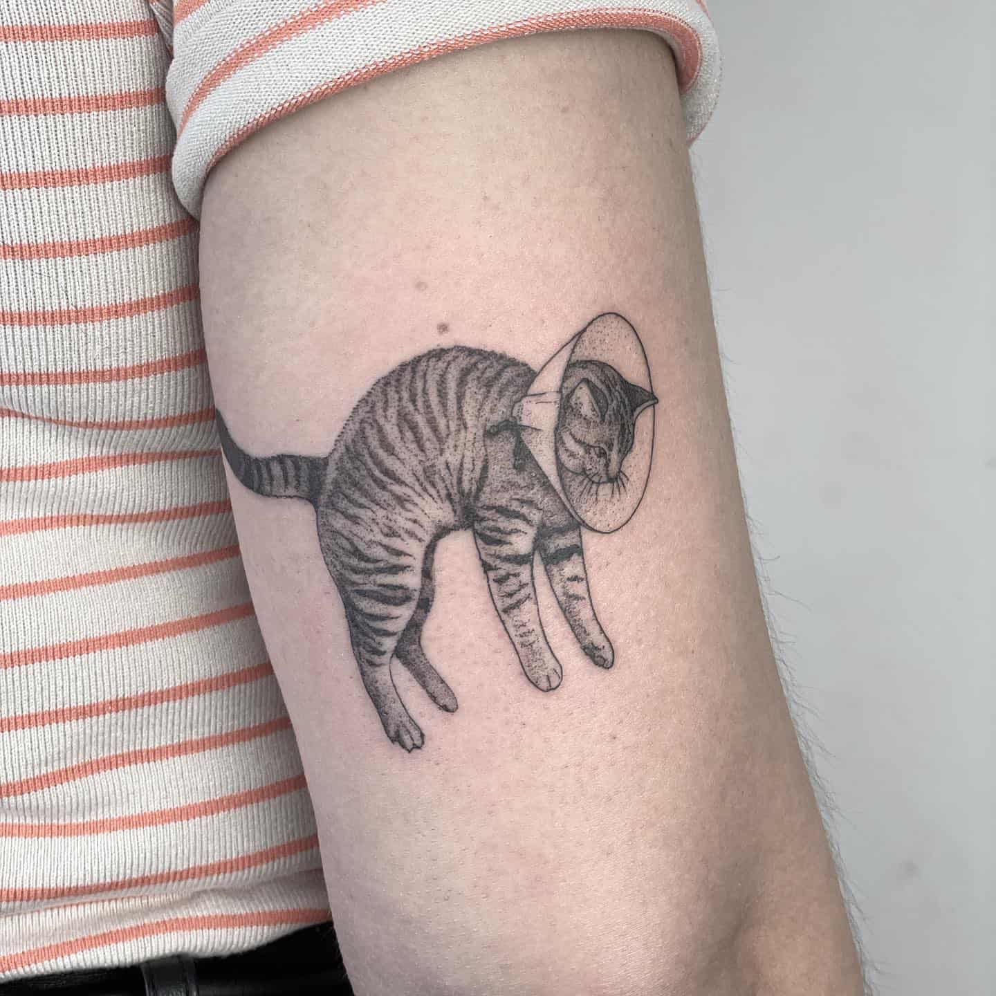 Cat tattoo on arm by celesteciafarone