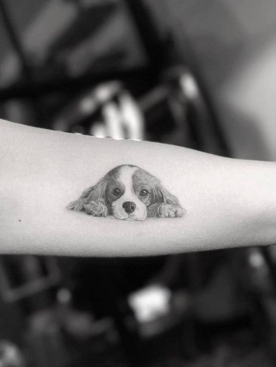 Cute black and hite puppy tattoo on arm