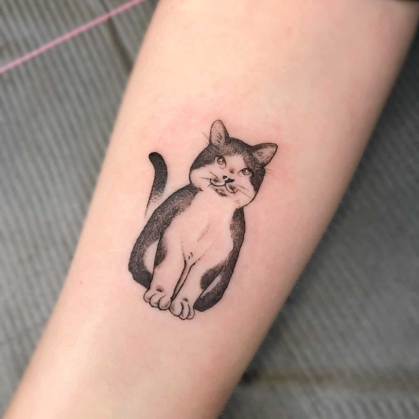 Cute cat tattoo by mementomoriabbotsford