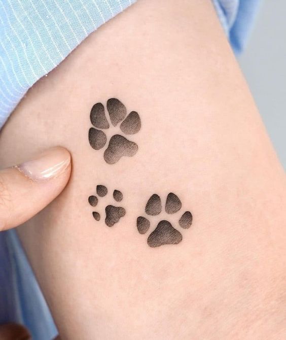 Cute paw designs