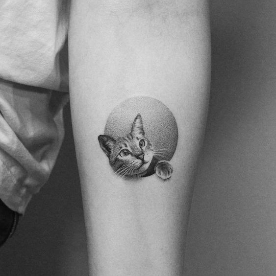 Cute realistic cat tattoo