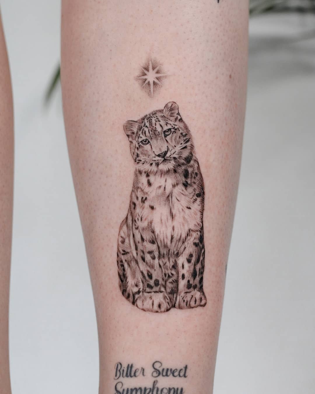Cute snow leopard tattoo by kyla rose tattoo
