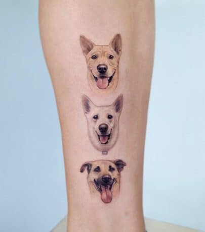 Blue heeler dog tattoo by Finley Jordan  Tattoogridnet