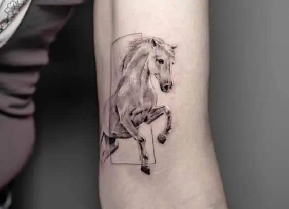 Equine horse tattoo design 2