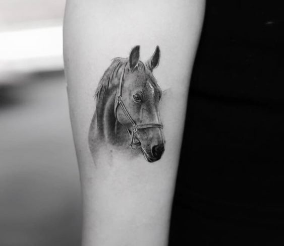 Small Horse Silhouette Tattoo Idea