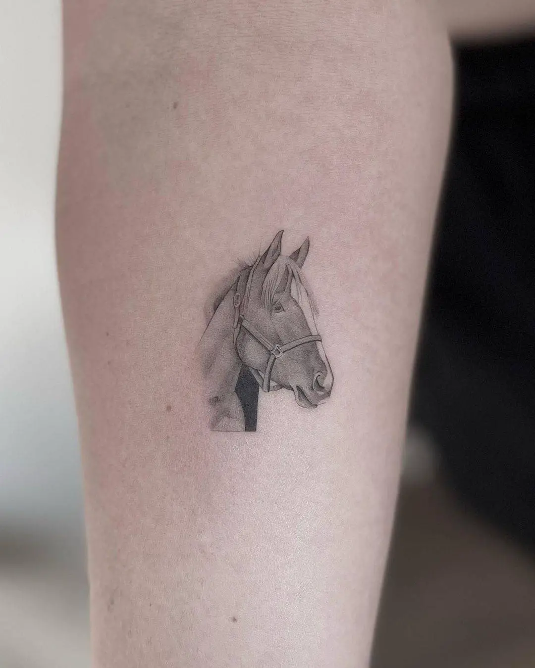 Horse tattoo design by zackruben