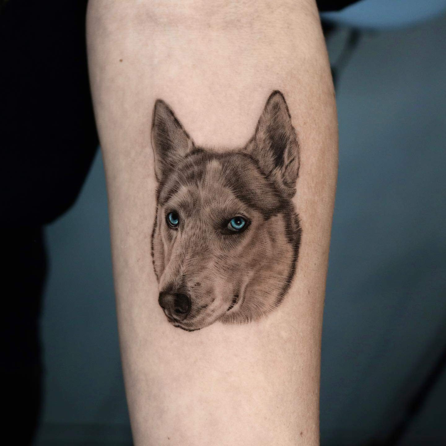 Husky Micro realistic tattoo by cain bng