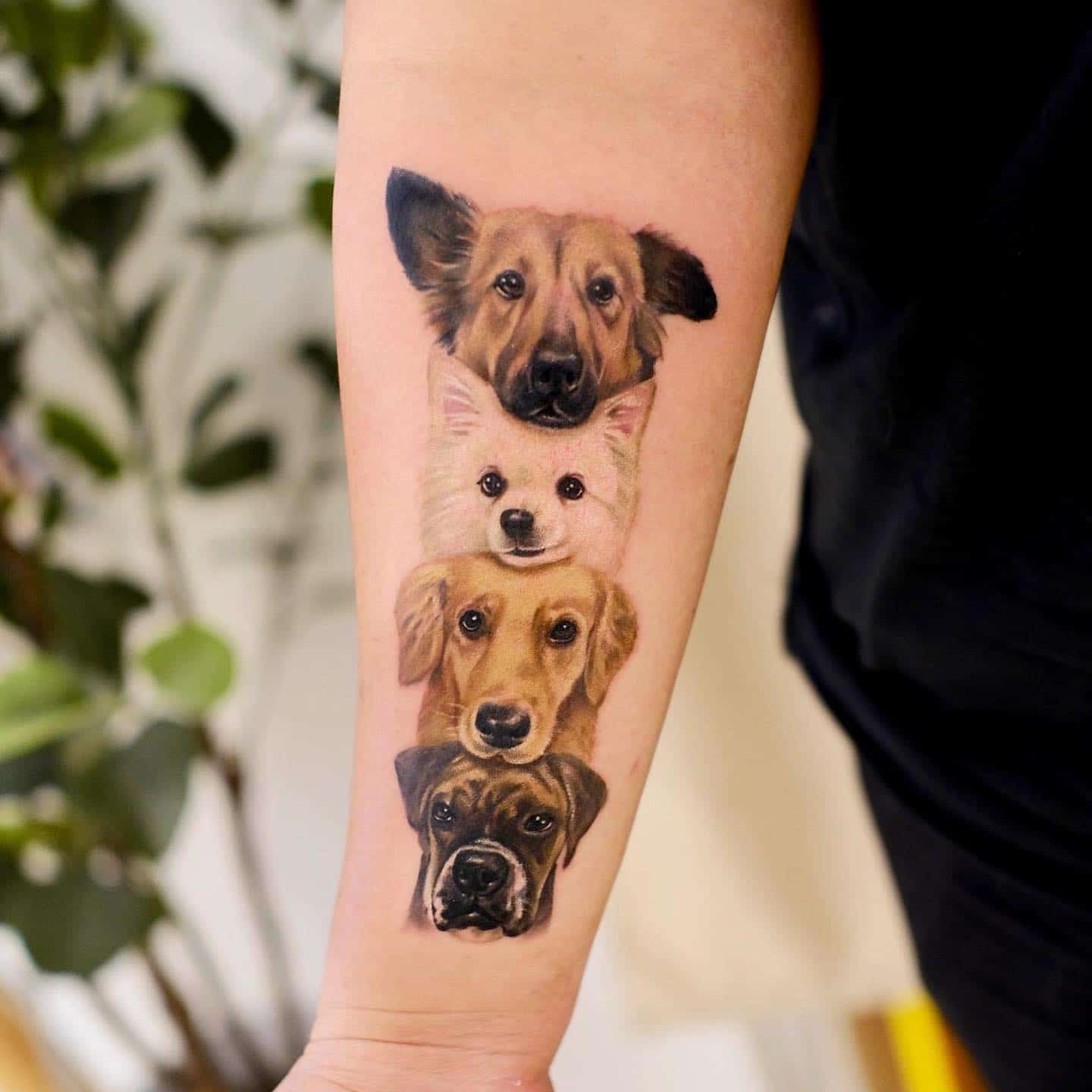 Cat or Dog Paw Print Tattoo Design. Stock Illustration - Illustration of  claw, symbol: 132721755