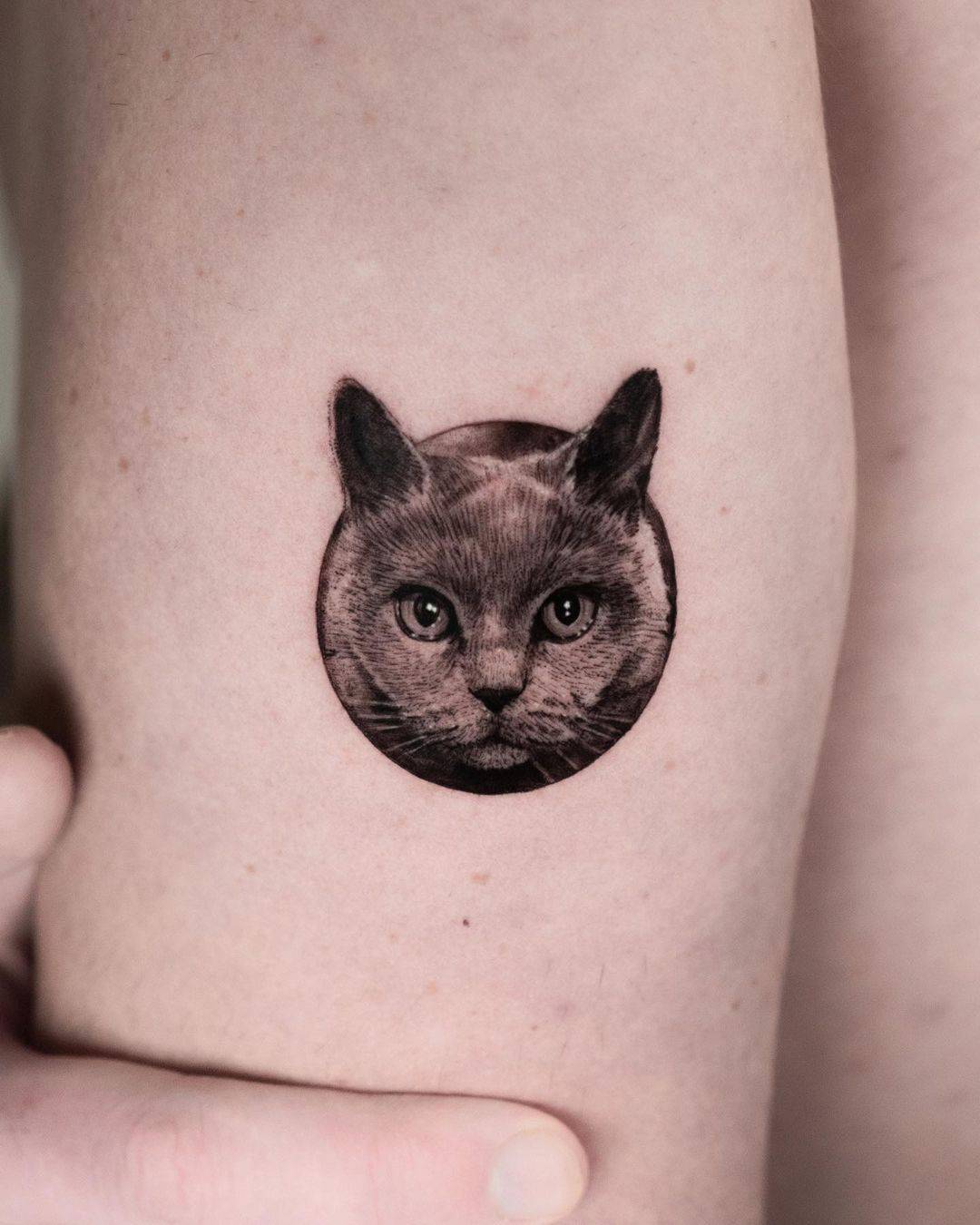 Realistic cat tattoo by jankyjake tattoos