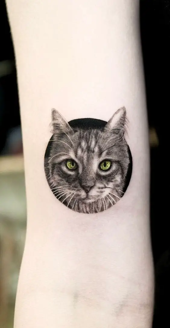 Realistic cat tattoo design