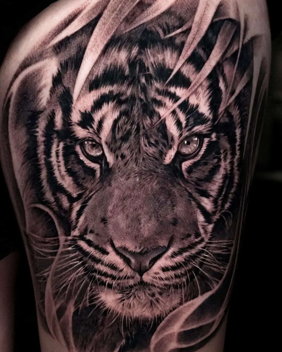 Realistic tiger tattoo by tattooist bega
