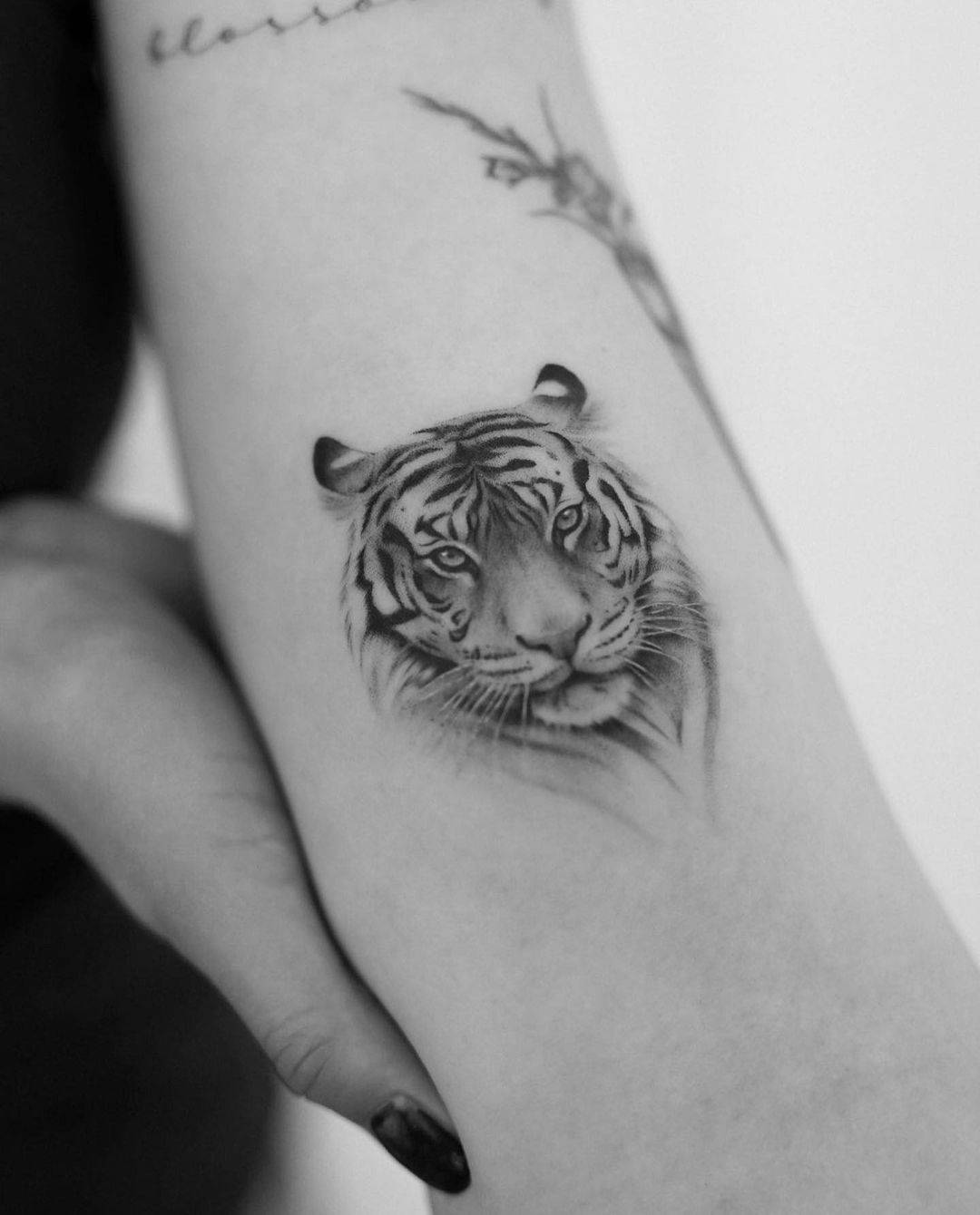 Small Realistic tiger tattoo by anika ttt