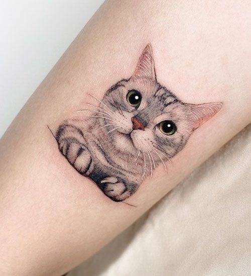 Small cat tattoo 1