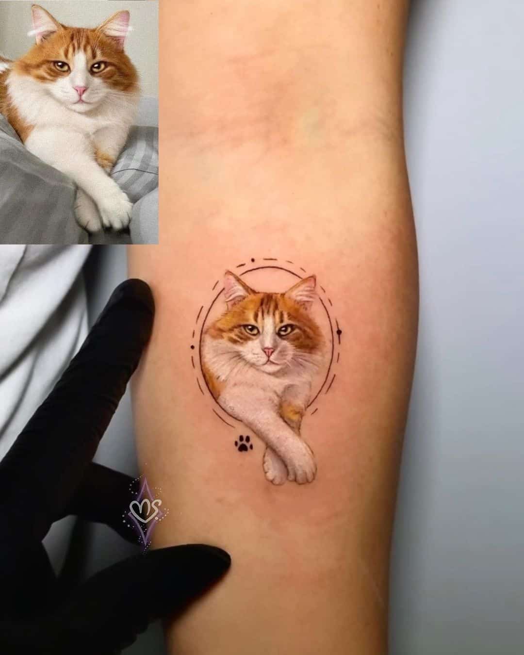 Amazing Cat Tattoo Ideas | Book Your Tattoo With Australian Artists
