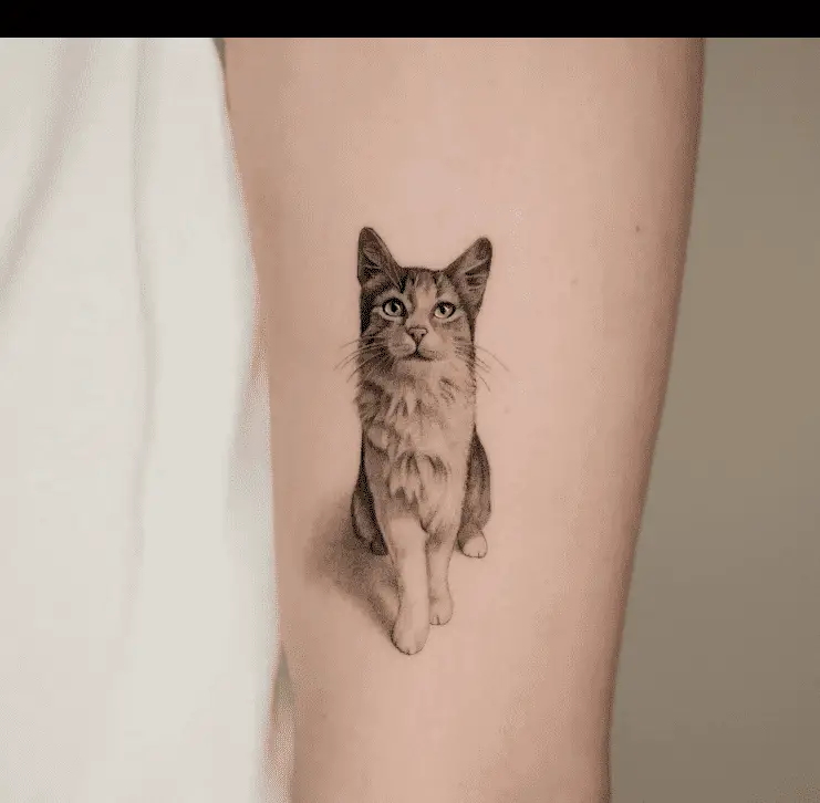 Stunning cat tattoo design by thommesen ink