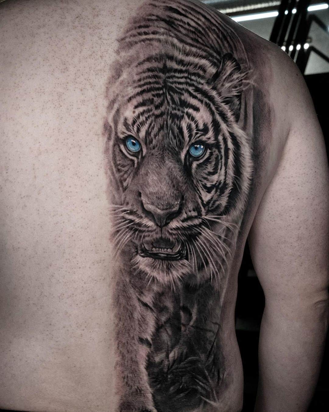 Tiger tattoo on back by tattooist bega