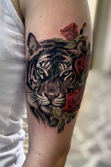 Tiger with rose on arm