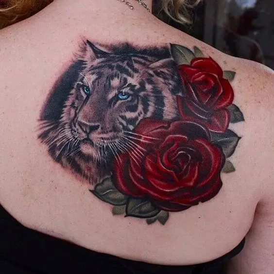 Tiger with rose on back