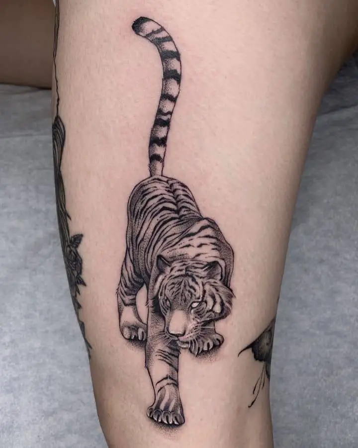 White tiger tattoo design by demonsandstripes