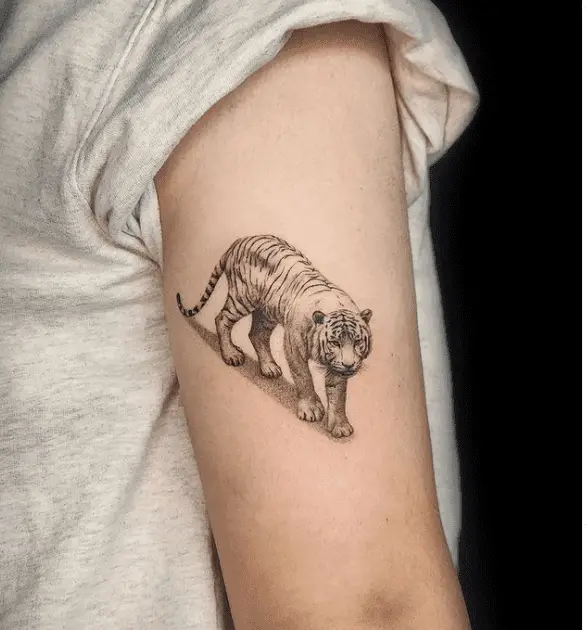 Wite tiger tattoo by ik tatz