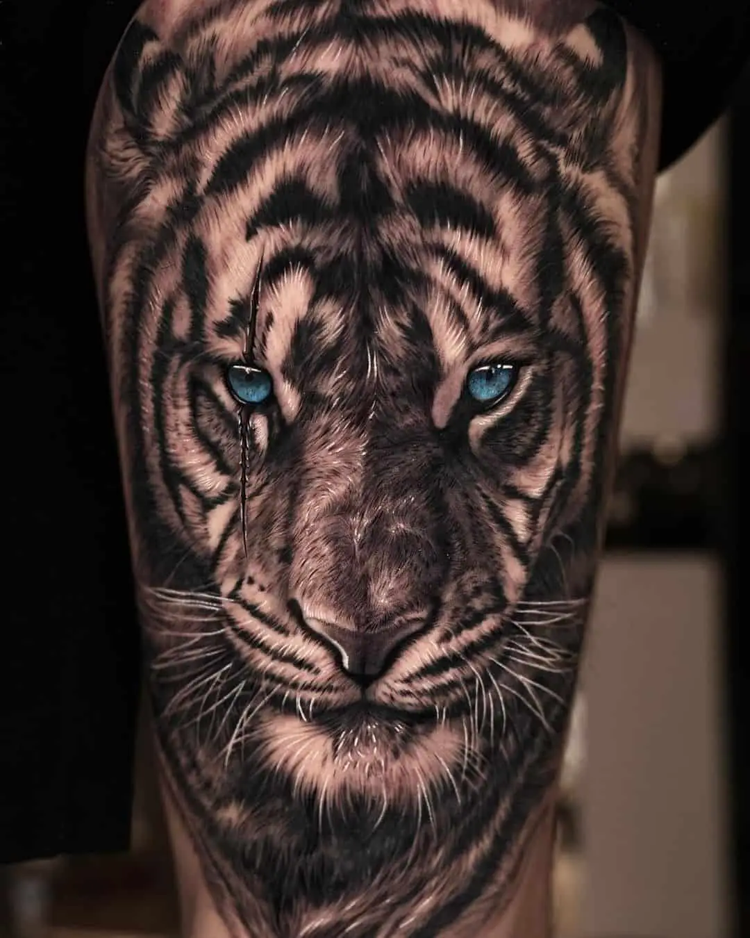 Amazing Tiger face tattoo by sumok tattooer