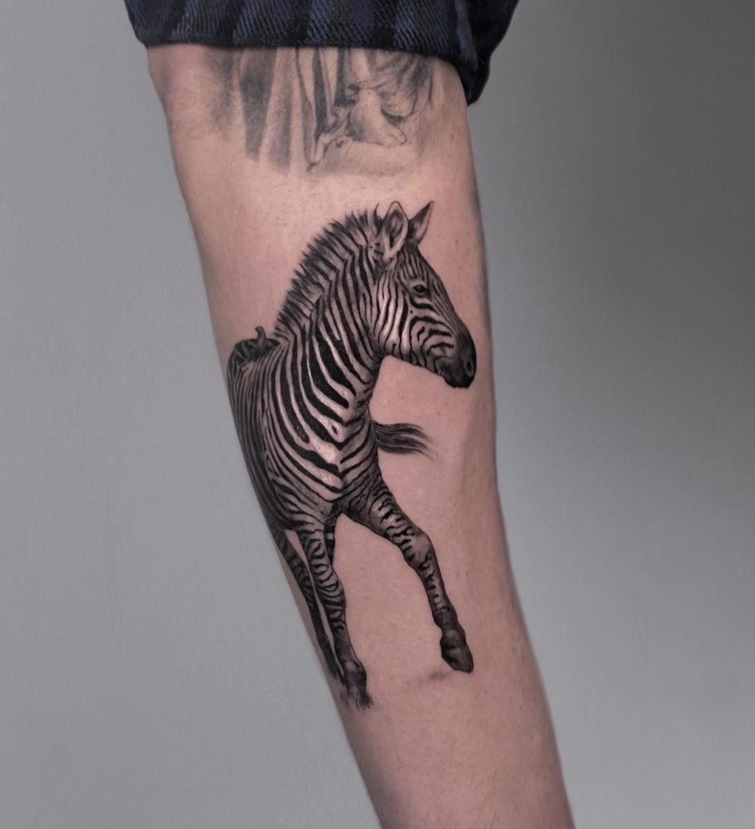 Amazing realistic zebra tattoo design by martinabilli illustration