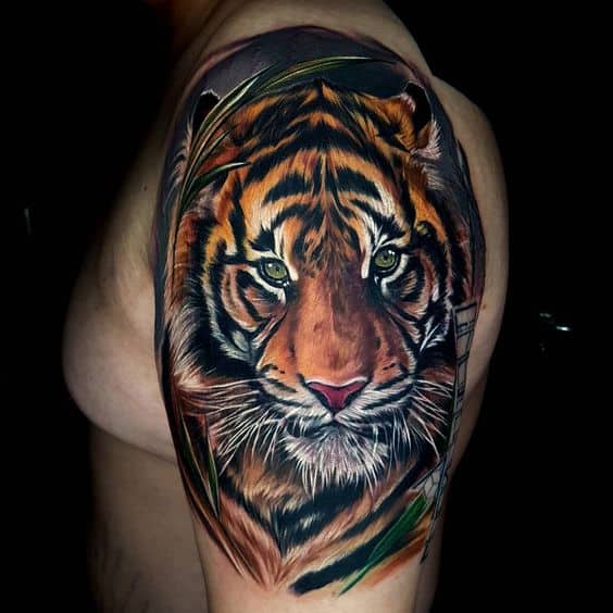 Bengal tiger tattoo 2