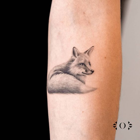 Black and gray fox on lower arm 1