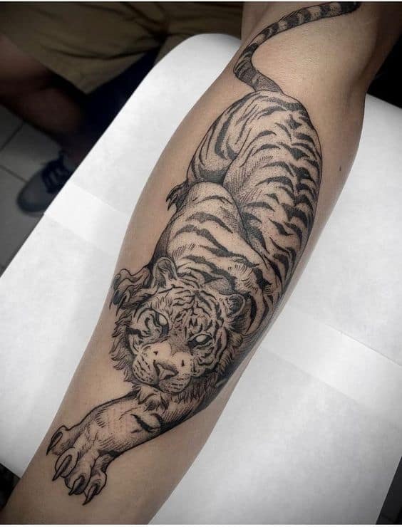 Black and gray tiger tattoo