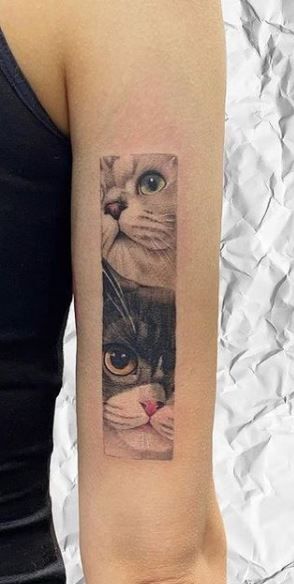 Cat tattoo 2 1