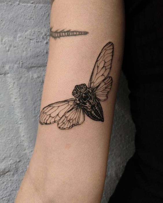 Cicada tattoo design 2