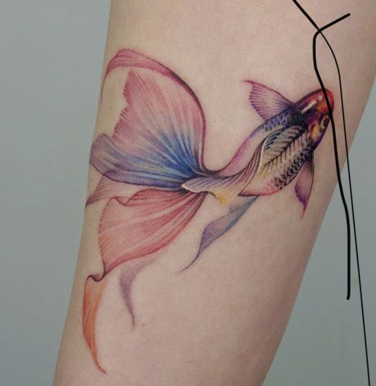 Colorful koi fish tattoo 2
