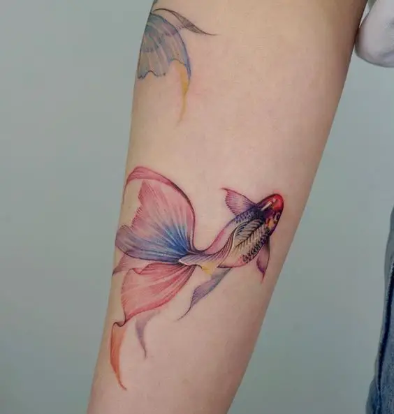 Colorful koi fish tattoo 3