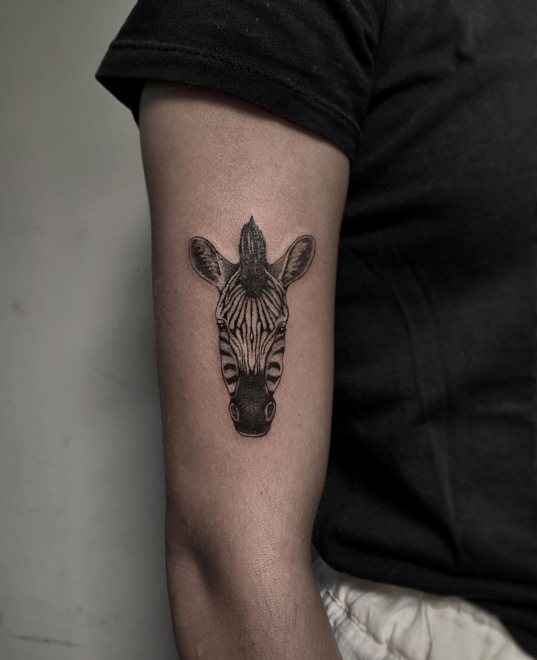 Cute zebra tattoos by blackdropsink