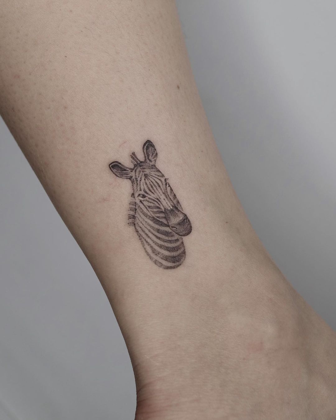 Cute zebra tattoos by jojo tattooer