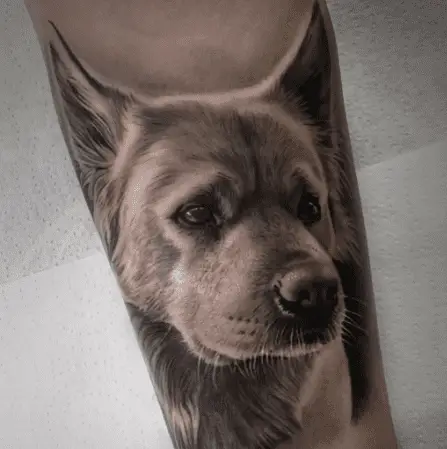 Dog tattoo by world of tattoo pics