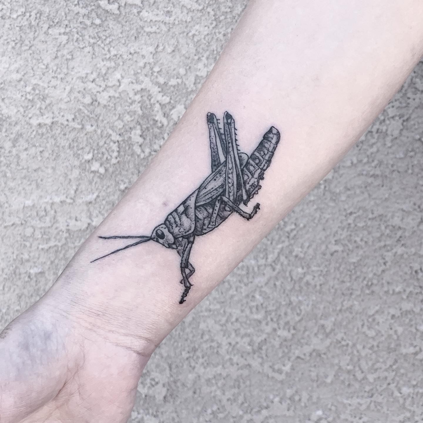 Grasshopper tattoo by fortytwojudges