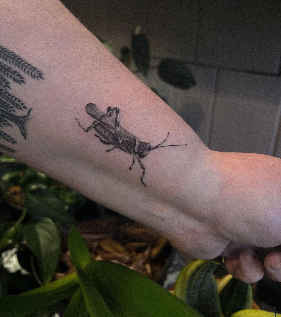 Grasshopper tattoo by noratadroes