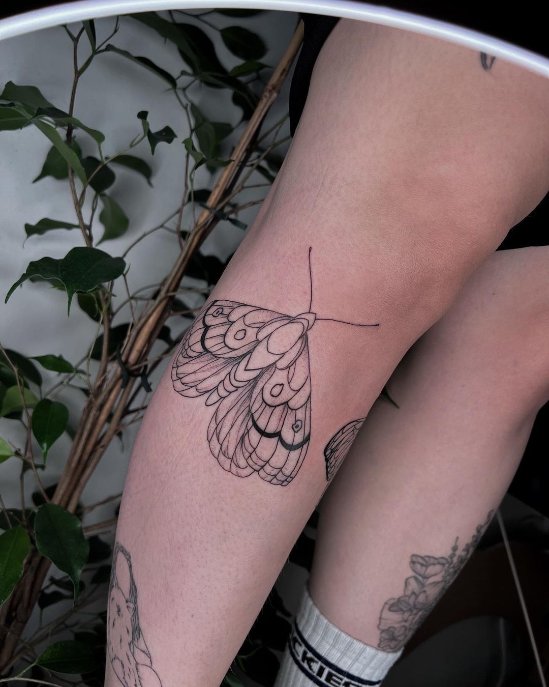 Moth tattoo design by pinksi ink