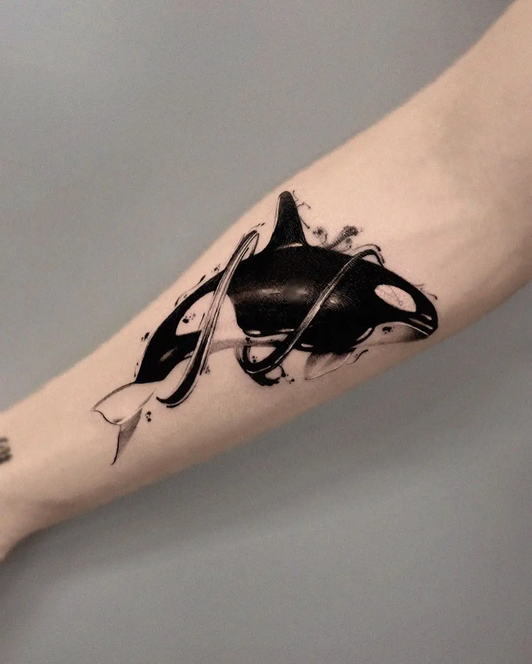 Orca whale tattoo by tattooist hoji