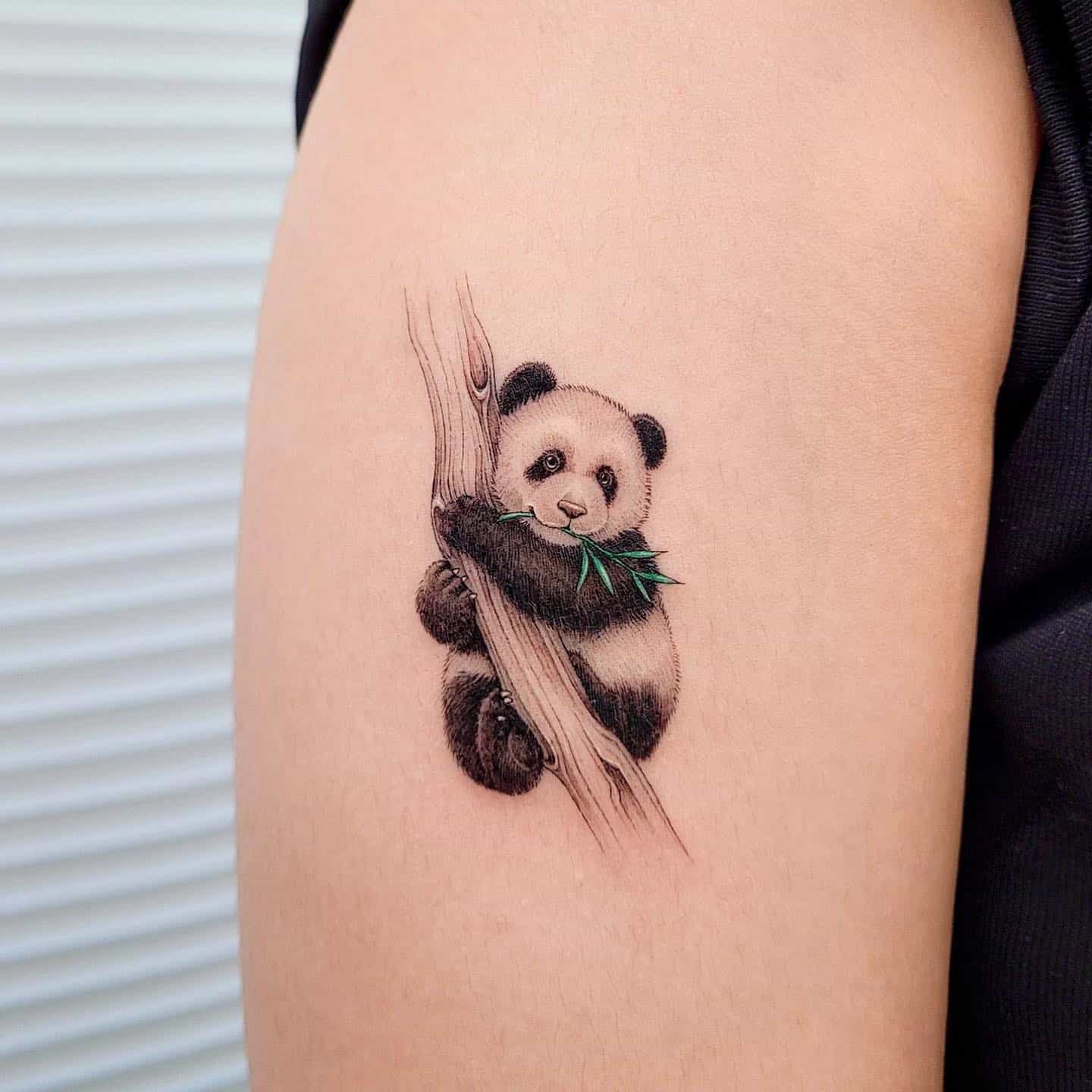 Panda tattoo by dan tattooer