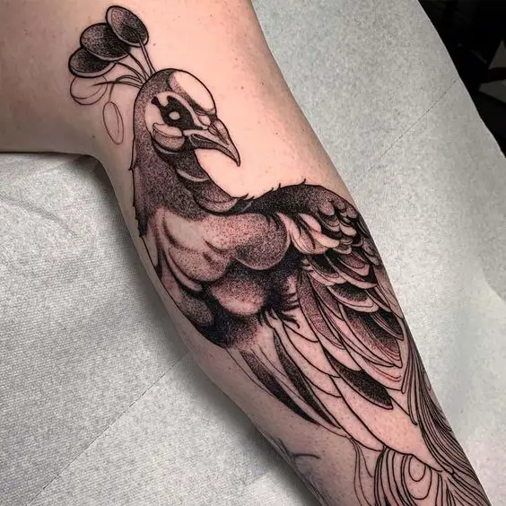 Peacock tattoo 2