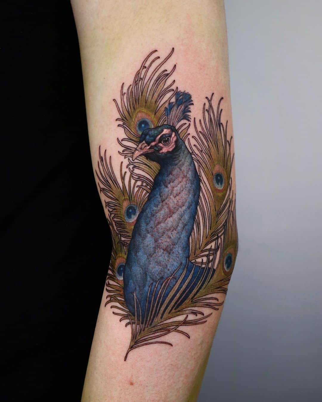 Peaconk tattooo by swan tattooer