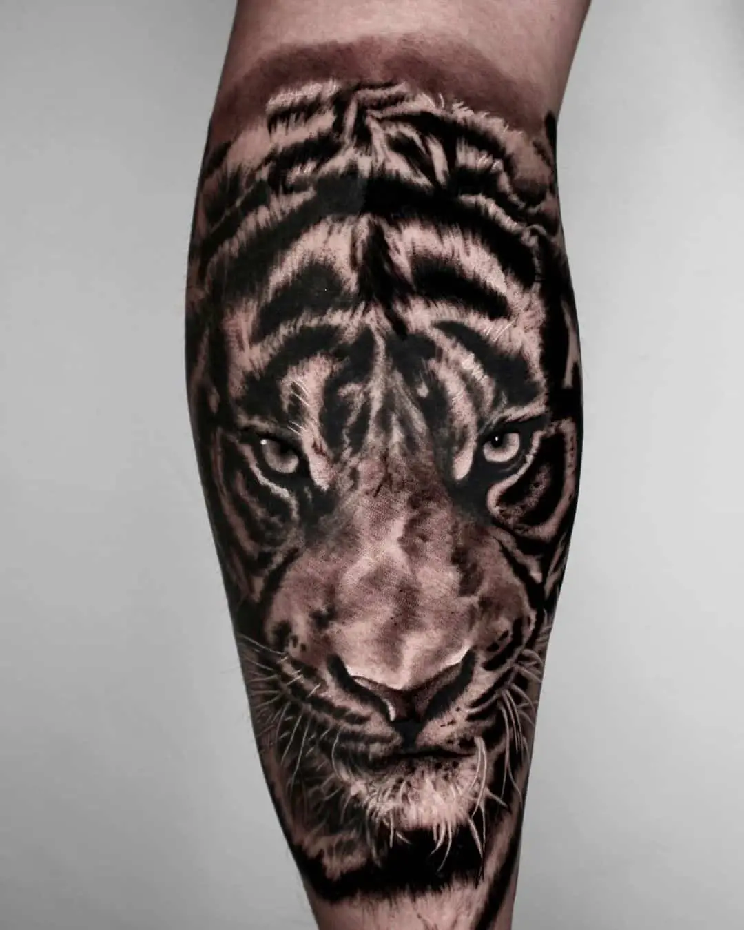 Realistic tiger by hesper tattoo