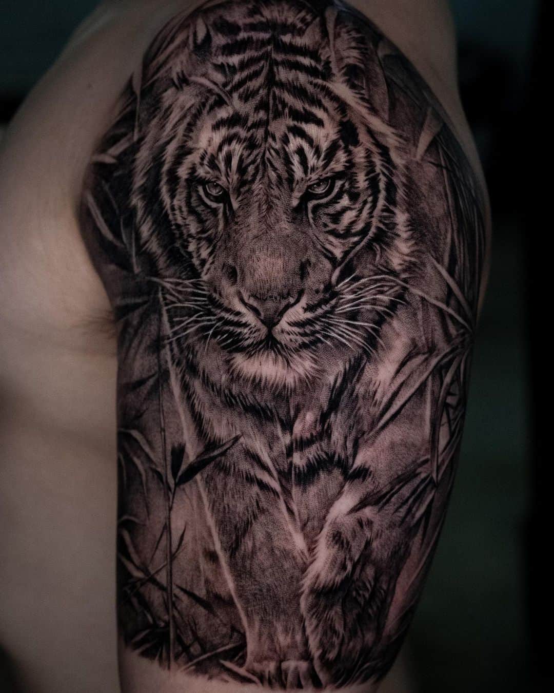 HR Tattoo Shop - Glasgow - Tiger and dancer upper arm piece, done by LASZLO  He has spaces in October / November this year. ✓Booking:  www.hrtattooshop.com #glasgowtattoo #hrtattooshop #upperarmtattoo  #sleevetattoo #tiger #tigertattoo #